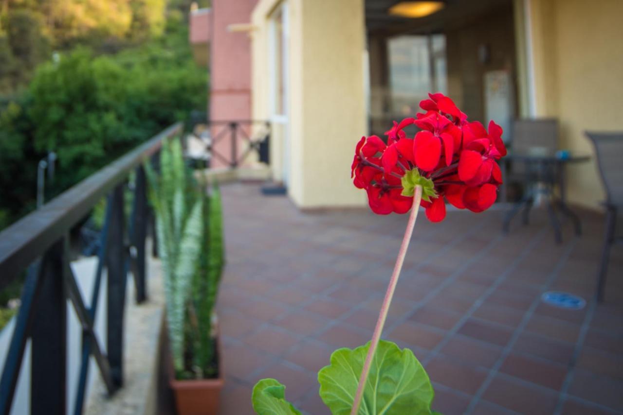 Hotel Terrace House Tbilisi Exterior foto